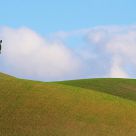..tuscany soul #5..
