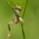 Hang in there fella!