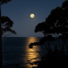 Full Moon Rising