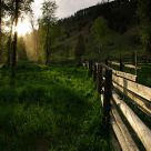 Morning Mist