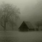 Foggy morning