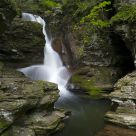 The Chute