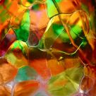 Autumn Glass