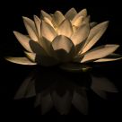 Glowing Reflection