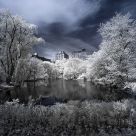 Central Park Tranquility