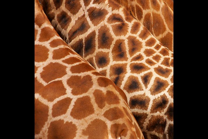 Patterns