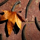 Bronze