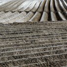 Potato field