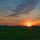 Fields of Glory