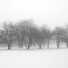Snow and Fog