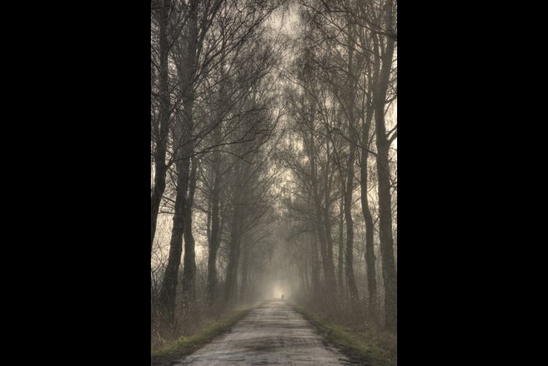 Road to Nowhere