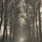 Road to Nowhere
