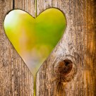 I (Heart) My Fence