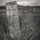 Fence Post