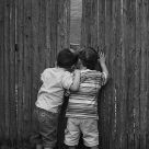 Buds