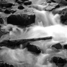River Sticks