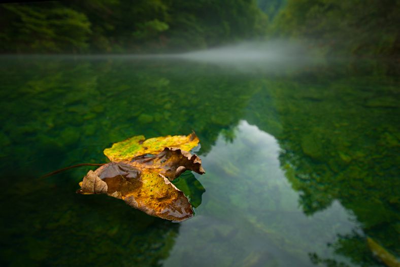 Autumn is coming