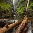 Devil's Dream Creek