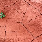 Parched Earth