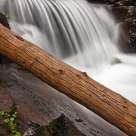 Old Log in Stream