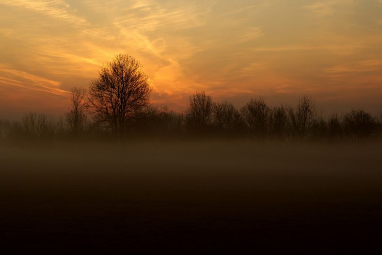 Foggy dawn