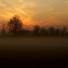 Foggy dawn