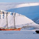 Frozen Ship