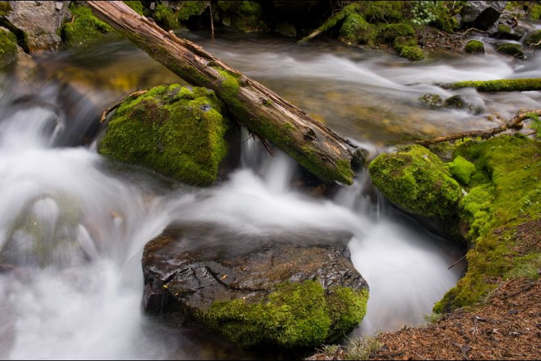 Rocky Mountian Stream