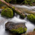 Rocky Mountian Stream