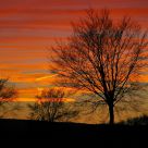 Red sunset in the Eifel