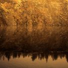 Warm Reflection