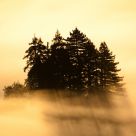Fog Recedes Over the Valley