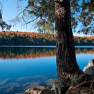 A Calm Autumn Afternoon