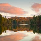 Early Morning Tarn Hows