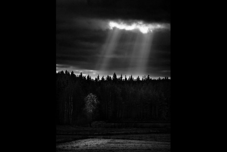 Sunrays