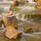 Stream of My Dreams