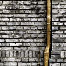 Wall