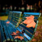 Autumn in Milan