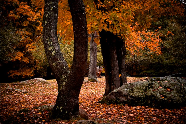 Colors Passing