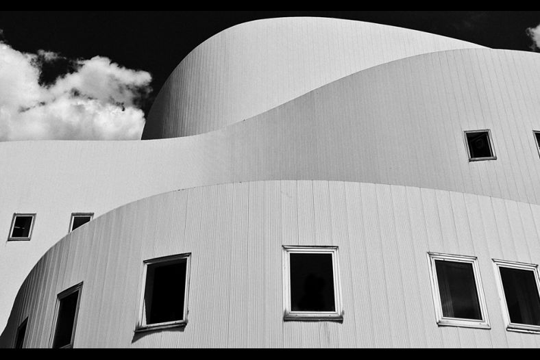 between black & white