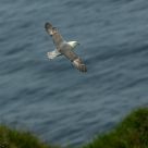 Zooming by