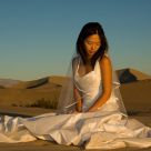 Dress trashing