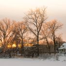 Icy Sunset