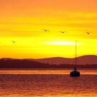 Blackmans Bay Sunrise
