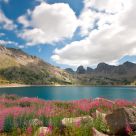 In bloom cloudy Lake