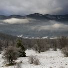 Low level clouds
