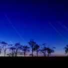 Star Trails