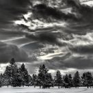 Wild Sky