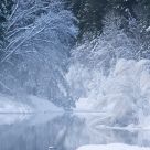 Winter Dreamscape