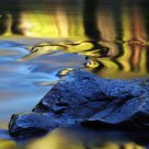 Water Motion with Reflection